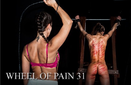 ELITE PAIN -  Wheel Of Pain 31