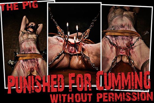 Pig Punished