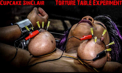 Torture Table Experiment