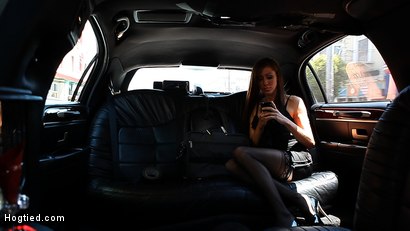 “豪华轿车”：一部被捆绑的故事片。由唐娜公主主演的奇幻 BDSM 绑架电影