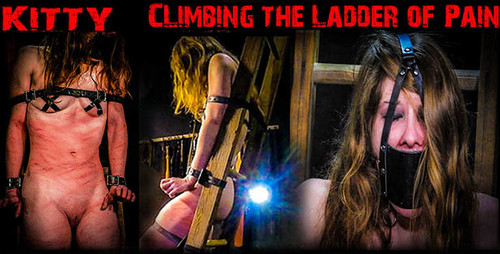 Climbing the Ladder of Pain