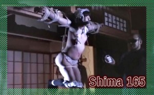 Shima 150 电击泥鳅酷刑