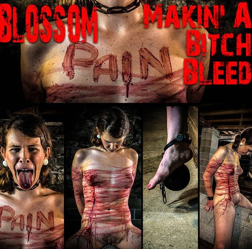 Blossom – Makin’ A Bitch Bleed