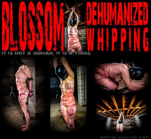 Blossom - Dehumanized Whipping