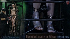 Electrified Mouse In Gibbet