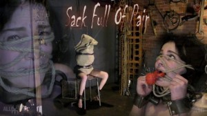 Sack Full Of Pain