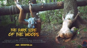 The dark side of the woods – Horror Porn 4