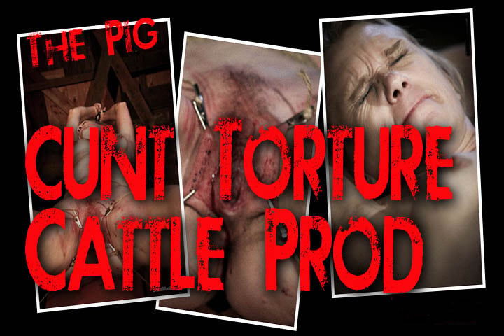 Pig - Cunt Torture Cattle Prod