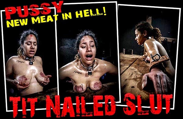 Pussy - Tit Nailed Slut