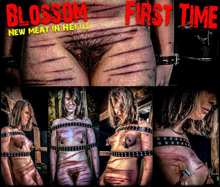 NEW MEAT Blossom - First Time (Chapter One)