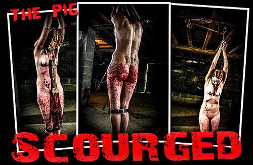 Pig - Scourged