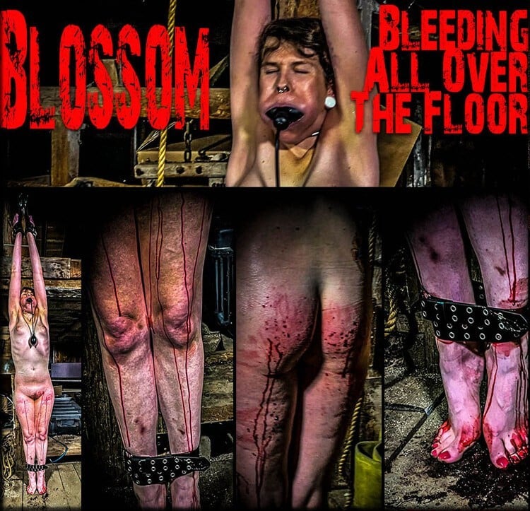 Blossom - Bleeding All Over The Floor