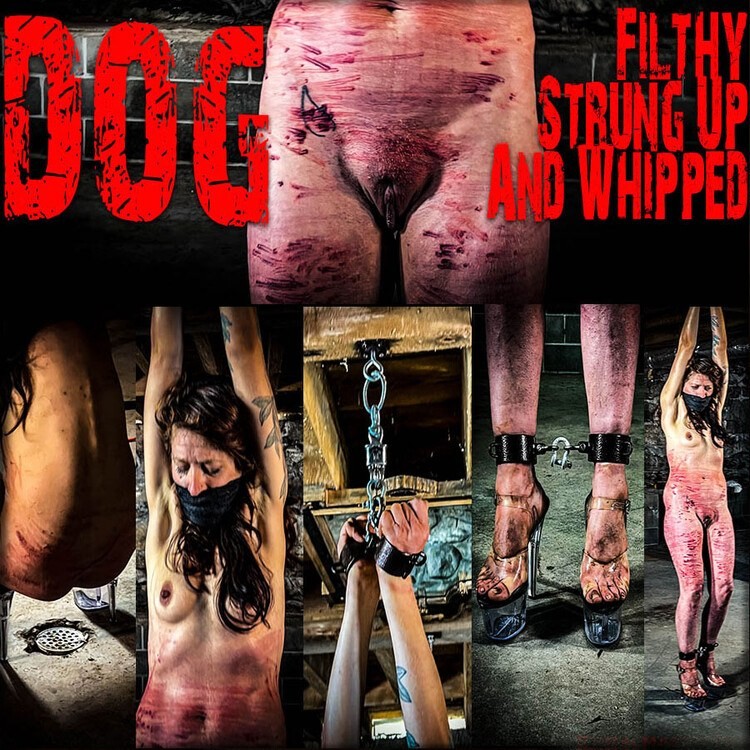 Dog - Filthy Strung Up And Whiopped