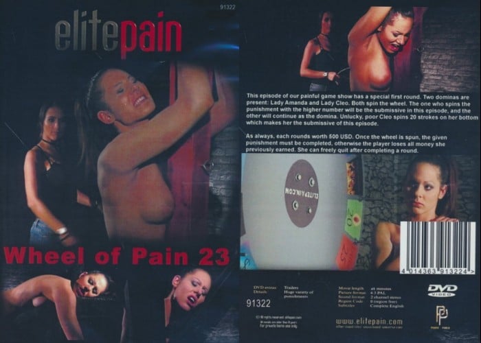 精英疼痛：痛苦之轮 23