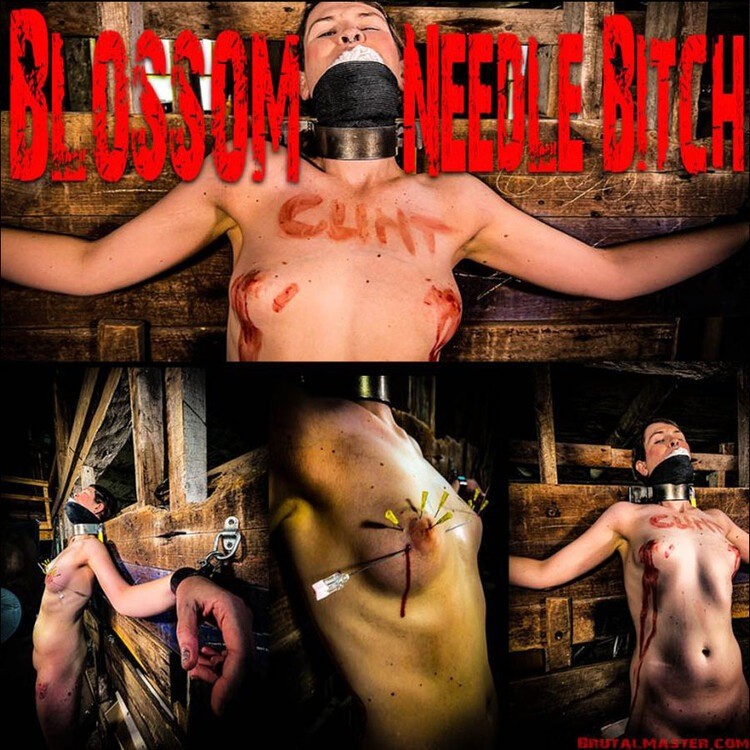 Blossom - Needle Bitch