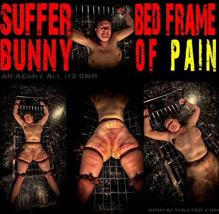 Suffer Bunny - Bed Frame of Pain