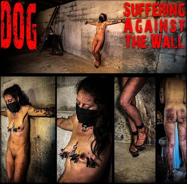 Dog - Suffering Against The Wall