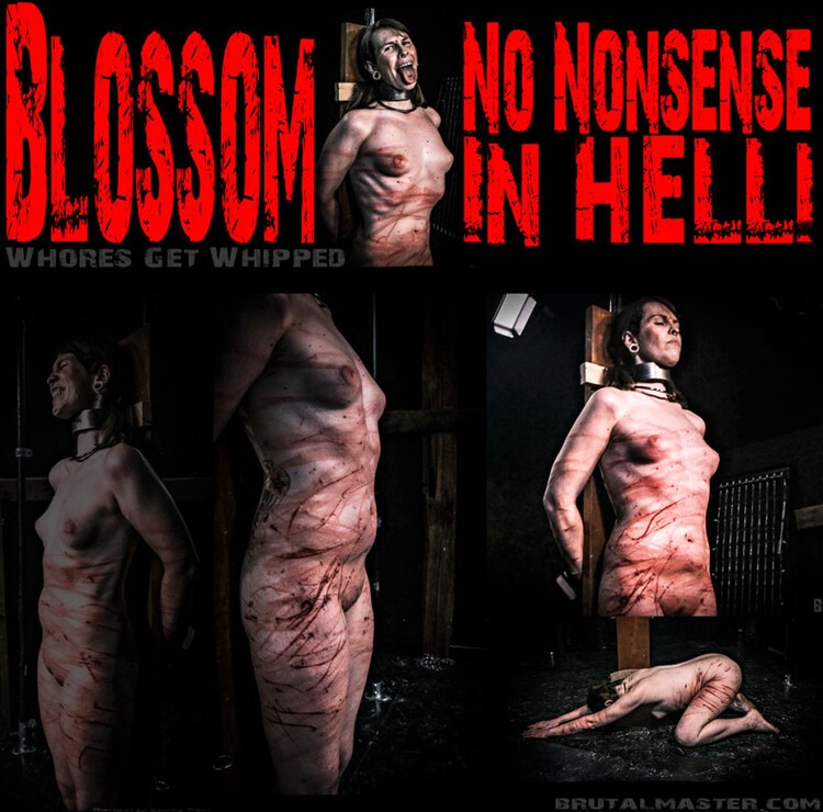 Blossom - No Nonsense In Hell!