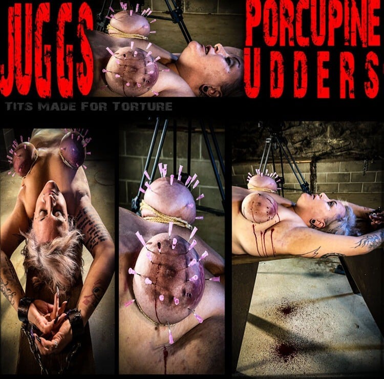 Juggs - Porcupine Udders