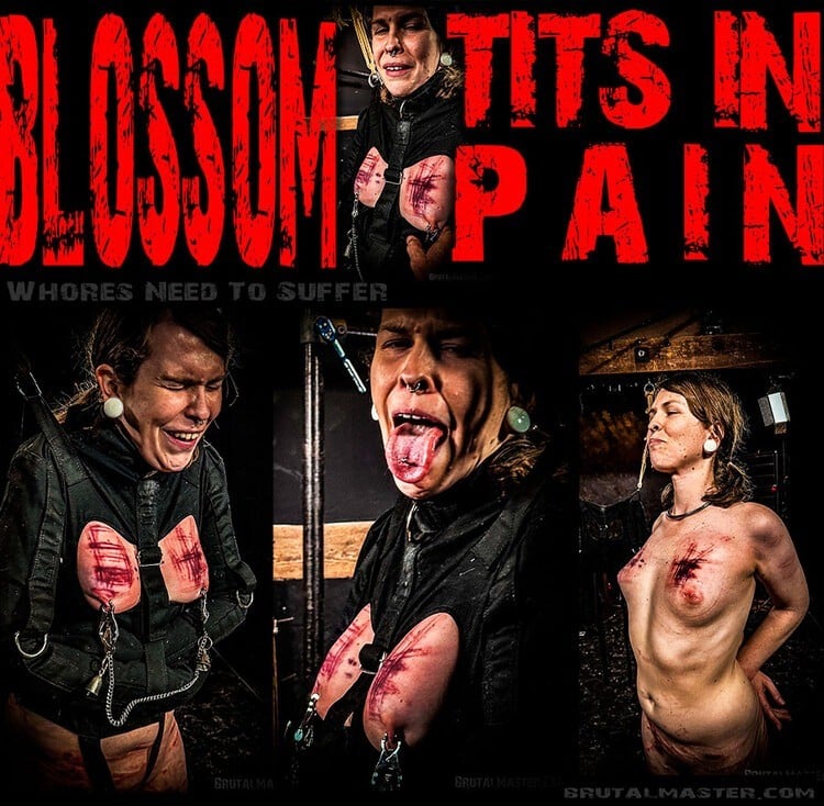 Blossom - Tits In Pain