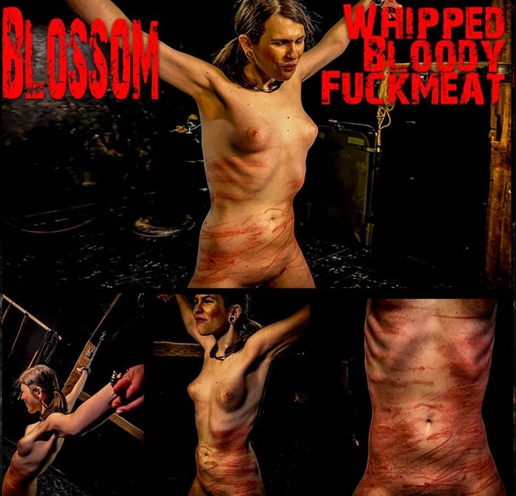 Blossom - Whipped Bloody Fuckmeat