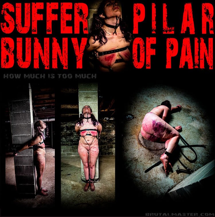 Suffer Bunny - Pillar Of Pain