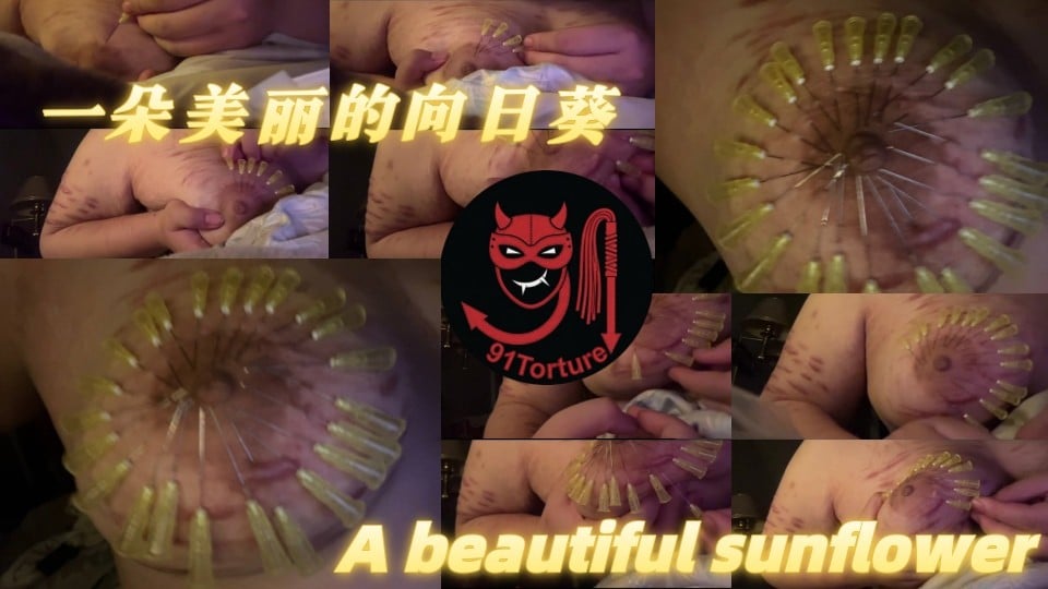 A beautiful sunflower.jpg